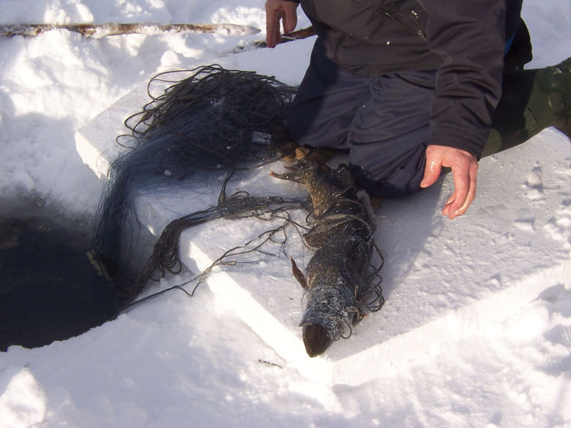 winter 748601 1920